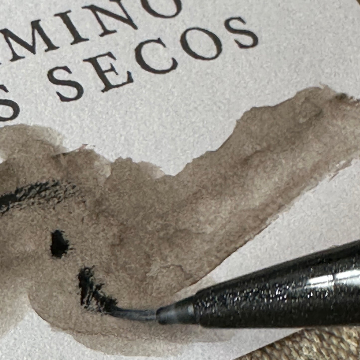 El camino de los secos 2022 Magnum